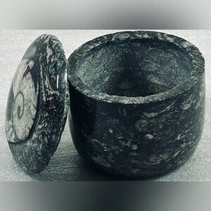 Orthoceras mini Jewelry box.